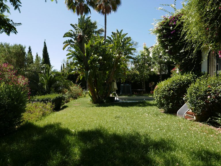 Villa for Sale in Marbella Malaga 16