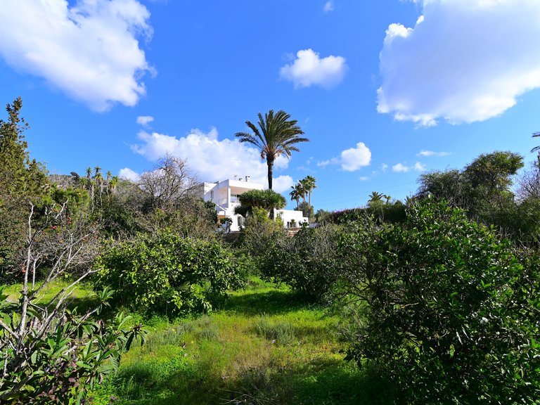 Villa for Sale in Santa Eulalia Del Río Balearic Islands 53