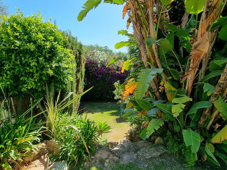 Town House for Sale in Marbella Malaga 29