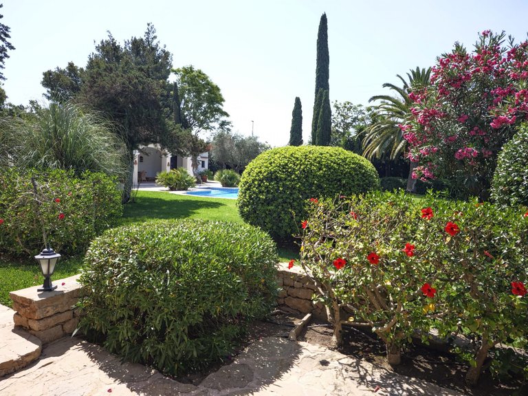 Villa for Sale in Sant Antoni De Portmany Balearic Islands 41