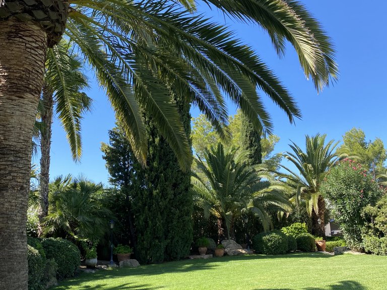 Villa for Sale in Sant Antoni De Portmany Balearic Islands 36