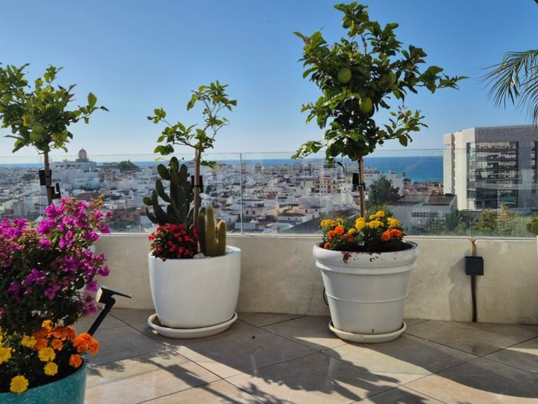 Apartment for Sale in Estepona Malaga 8