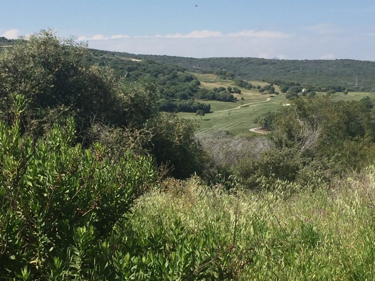 Plot for Sale in Sotogrande Cadiz 5