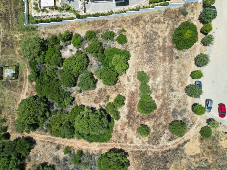 Plot for Sale in Zona L, Sotogrande, Cadiz 10
