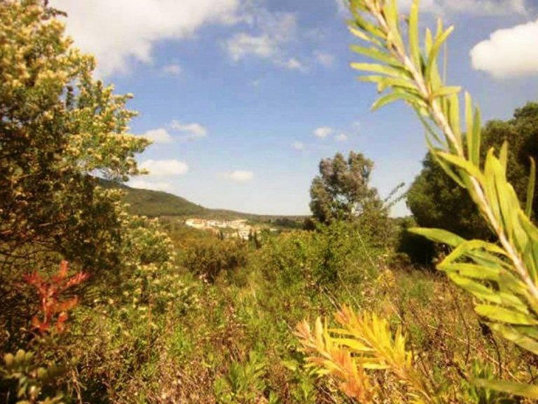 Plot for Sale in Zona L, Sotogrande, Cadiz 13
