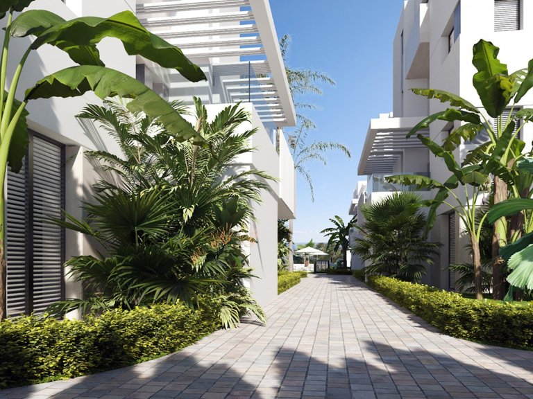 Penthouse for Sale in Torre-pacheco, Murcia 18