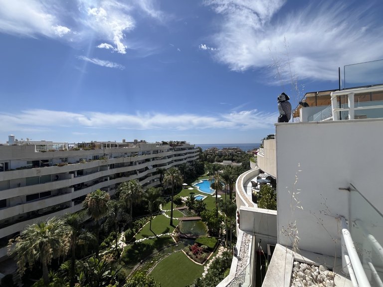 Penthouse for Sale in El Embrujo Banús, Marbella, Malaga 1