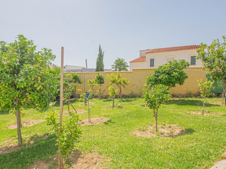 Apartment for Sale  in Pueblo Nuevo De Guadiaro, Cadiz 10