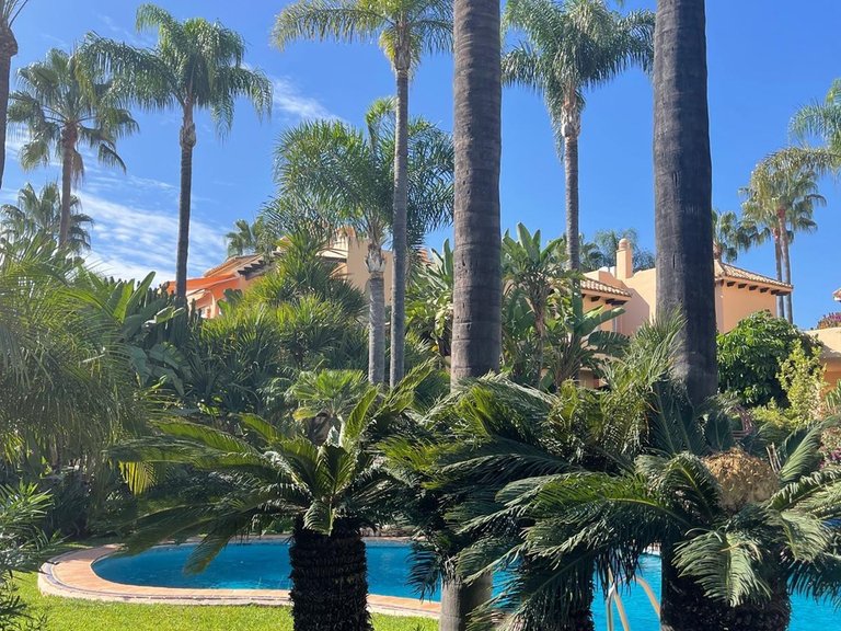 Apartment for Rent in Marbella Golden Mile, Marbella, Malaga 15