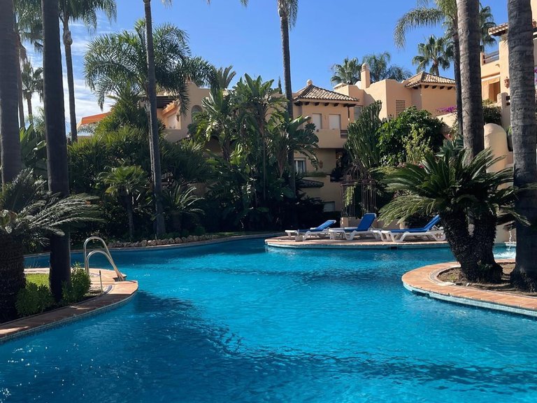Apartment for Rent in Marbella Golden Mile, Marbella, Malaga 16