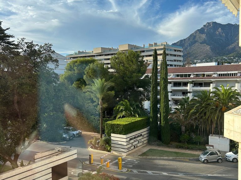 Apartment for Rent in Marbella Golden Mile, Marbella, Malaga 14