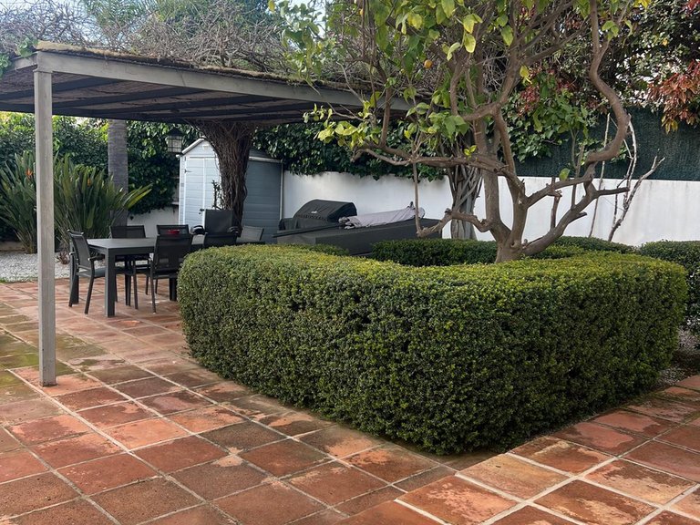 Villa for Rent in Marbella Golden Mile, Marbella, Malaga 23