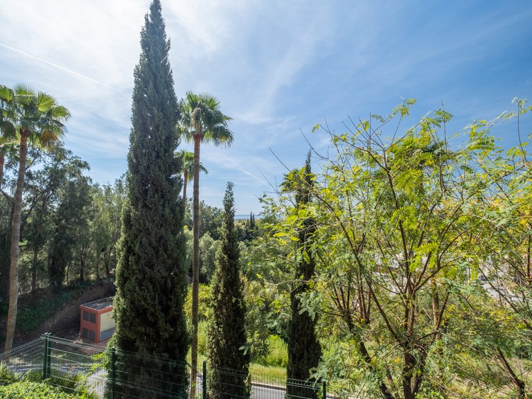 Apartment for Sale in Benahavis, Malaga 19