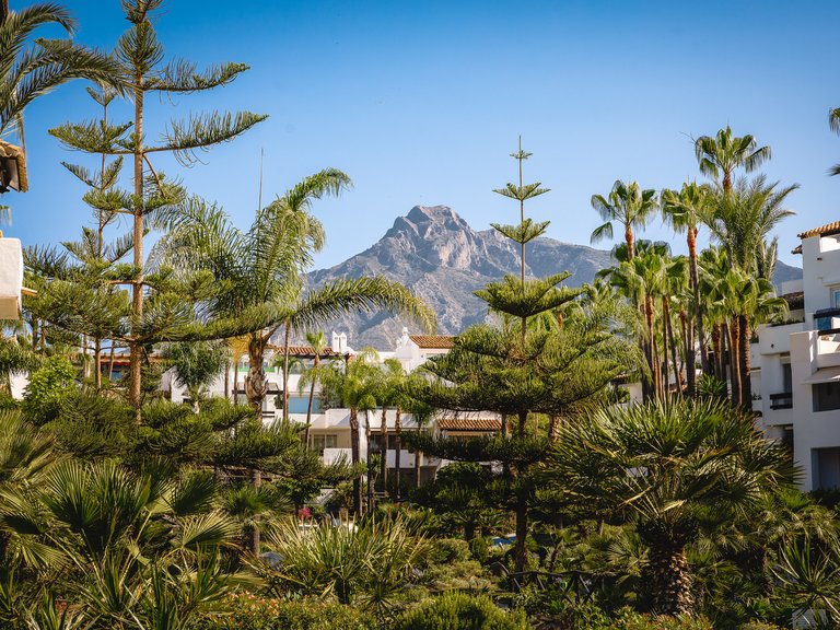Apartment for Sale in Marbella, Malaga 14