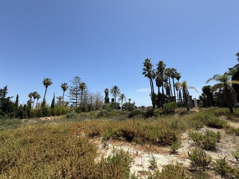Plot for Sale in Nueva Andalucia, Marbella, Malaga 1
