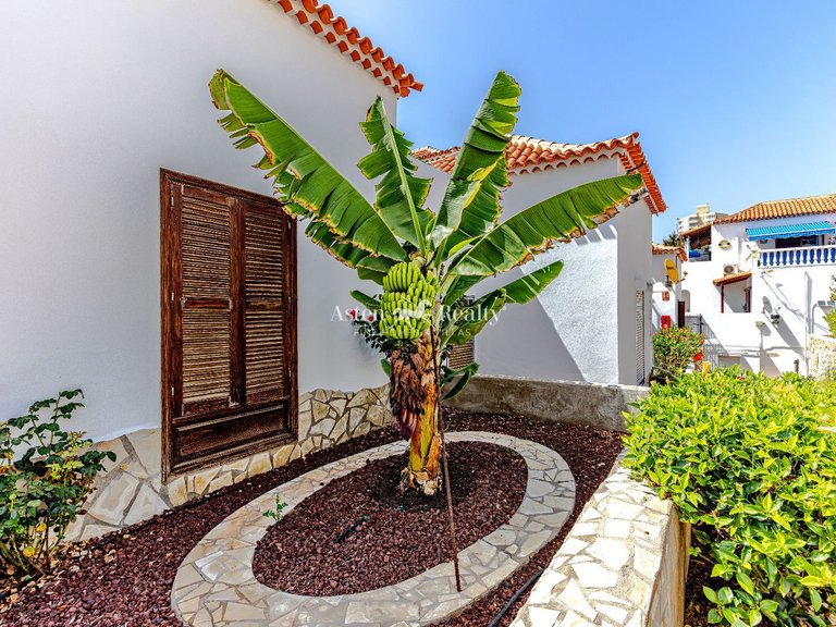 Apartment for Sale in Playa De Las Américas, Tenerife 5