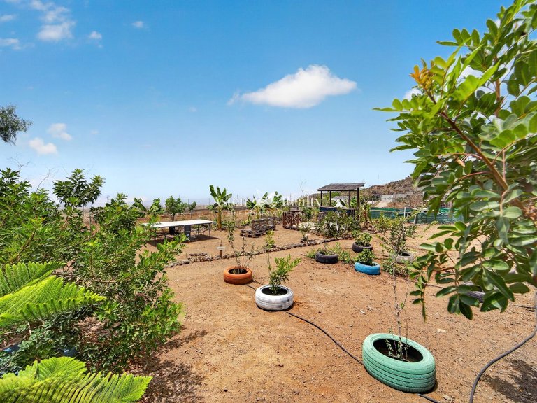 Villa for Sale in Guia De Isora, Tenerife 25