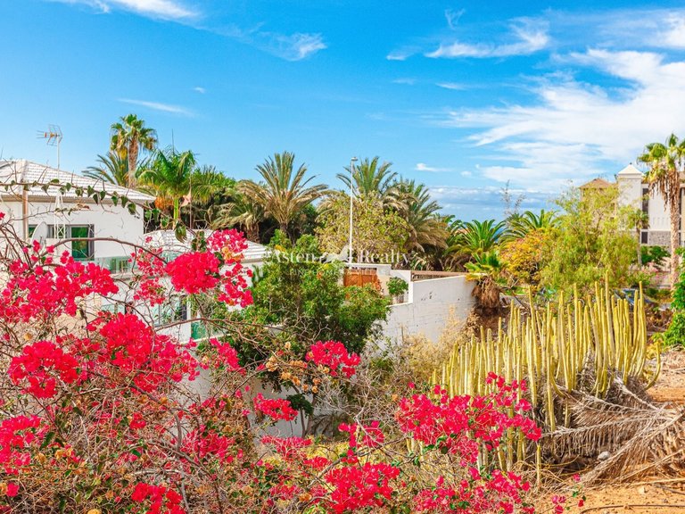 Town House for Sale in Playa Del Duque, Tenerife 4