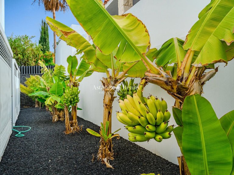 Villa for Sale in Callao Salvaje, Tenerife 23