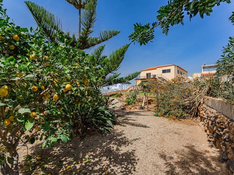 Villa for Sale in San Miguel, Tenerife 29