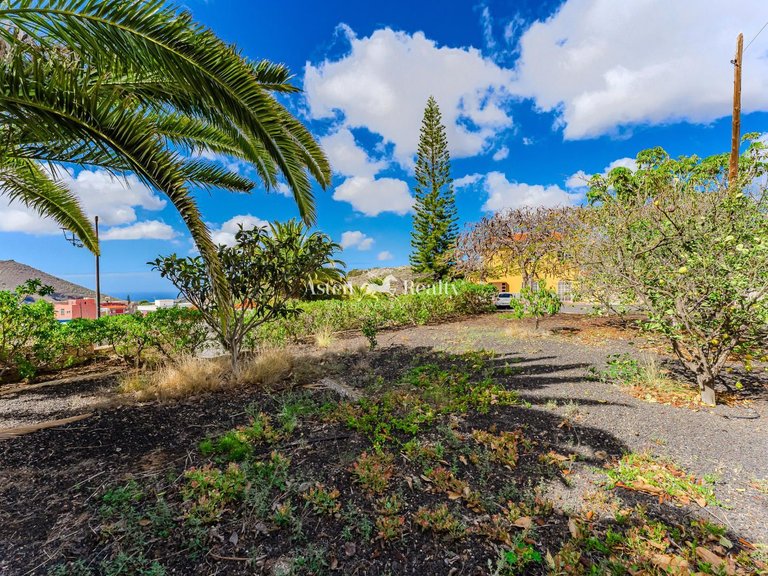 Villa for Sale in San Miguel, Tenerife 6