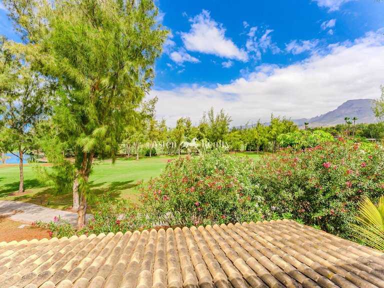 Villa for Sale in Playa De Las Américas, Tenerife 12