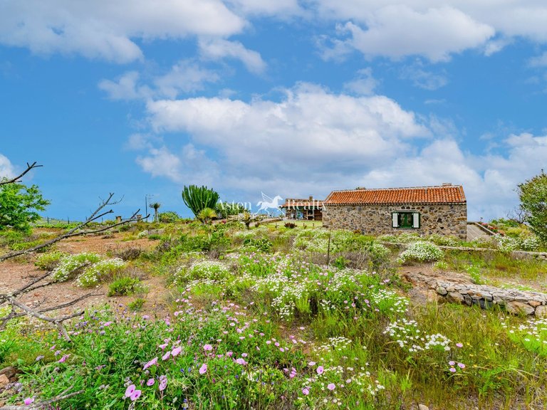 Villa for Sale in Tijoco Alto, Tenerife 25