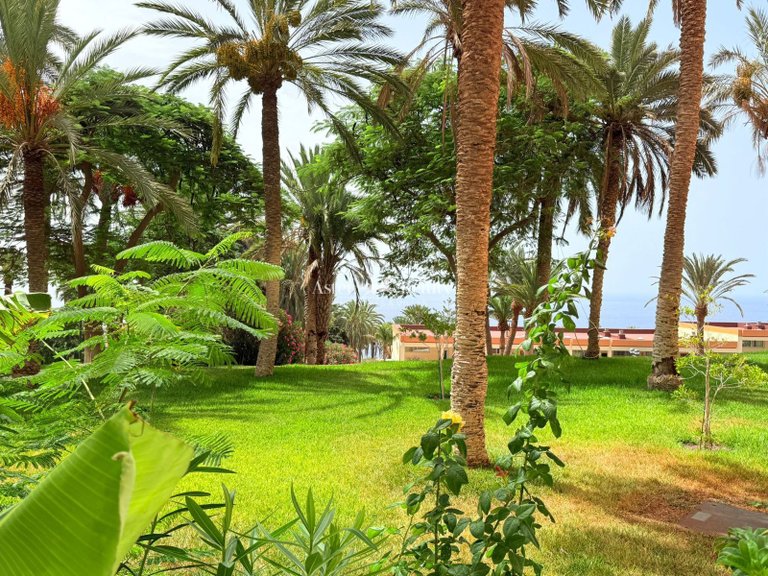 Penthouse for Sale in Adeje, Tenerife 29