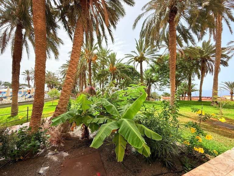 Penthouse for Sale in Adeje, Tenerife 31