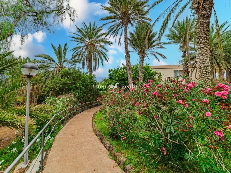 Penthouse for Sale in Adeje, Tenerife 27