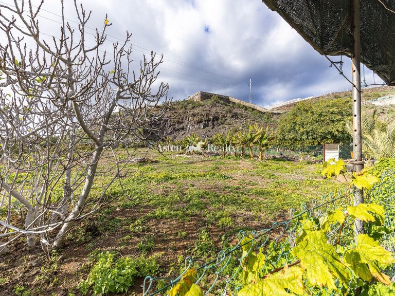 Villa for Sale in Guia De Isora, Tenerife 25