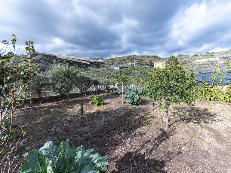 Villa for Sale in Guia De Isora, Tenerife 28