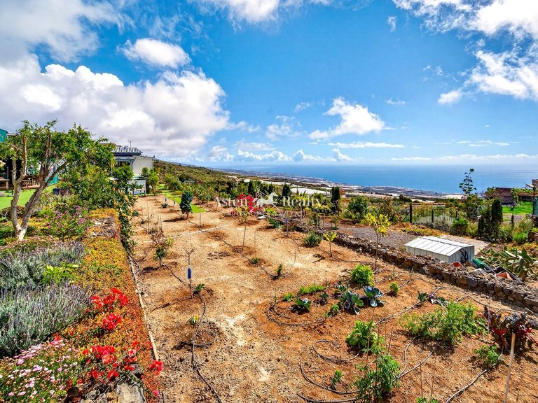 Villa for Sale in Guia De Isora, Tenerife 35