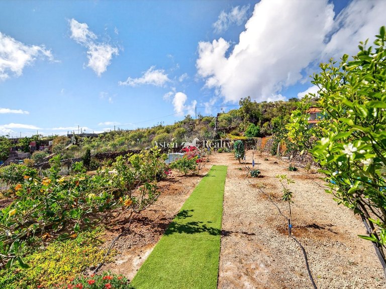 Villa for Sale in Guia De Isora, Tenerife 37