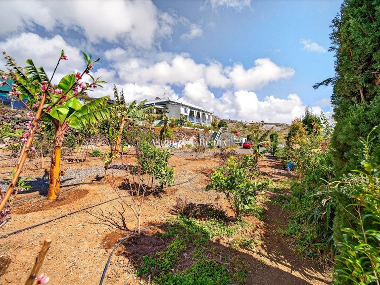 Villa for Sale in Guia De Isora, Tenerife 40