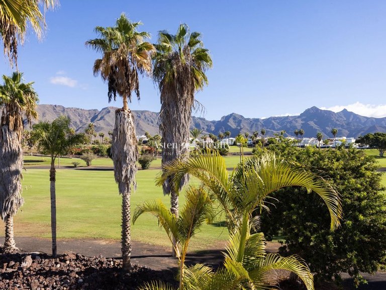 Villa for Sale in La Caleta, Tenerife 47