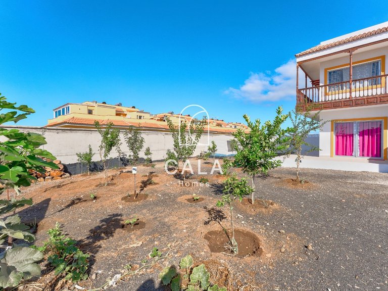 Villa for Sale in Puerto De Santiago, Tenerife 17