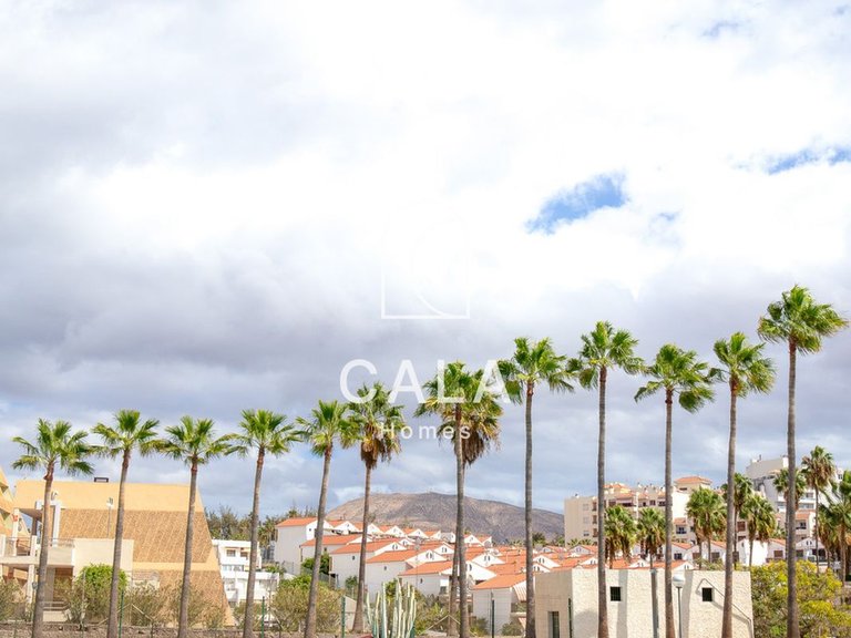 Apartment for Sale in Playa De Las Américas, Tenerife 17