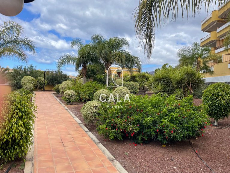 Town House for Sale in Puerto De Santiago, Tenerife 35