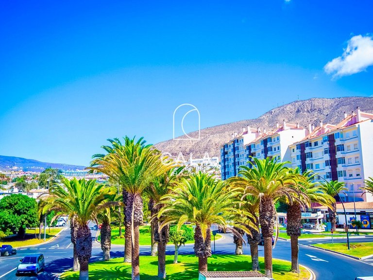 Apartment for Sale in Playa De Los Cristianos, Tenerife 12