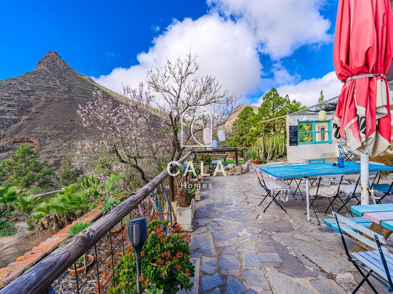 Villa for Sale in Vilaflor, Tenerife 42