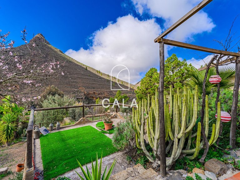 Villa for Sale in Vilaflor, Tenerife 44