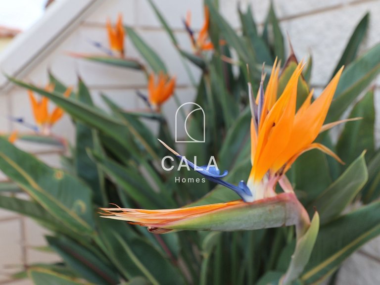 Villa for Sale in Callao Salvaje, Tenerife 38