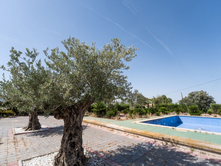 Villa for Sale in Orihuela, Alicante 21