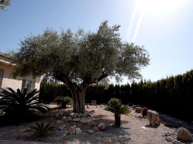 Villa for Sale in Orihuela, Alicante 26