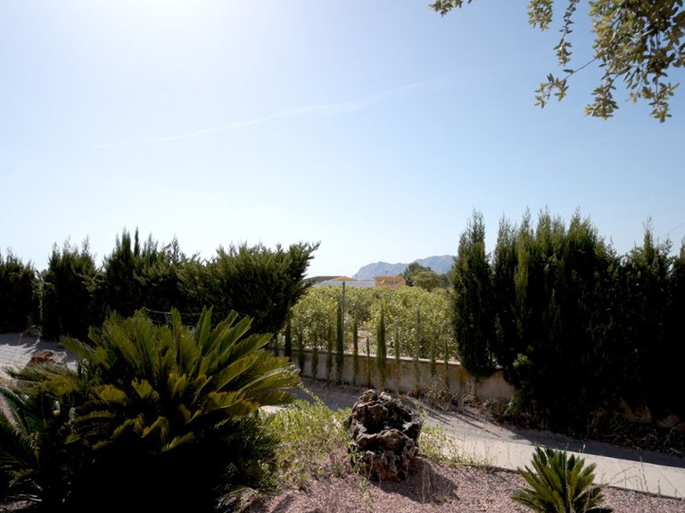 Villa for Sale in Orihuela, Alicante 30