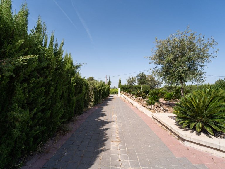 Villa for Sale in Orihuela, Alicante 37