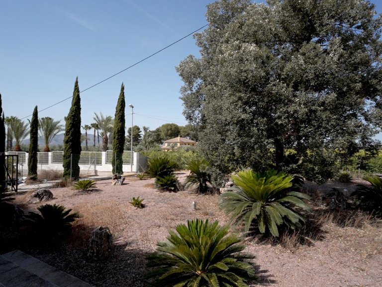 Villa for Sale in Orihuela, Alicante 42