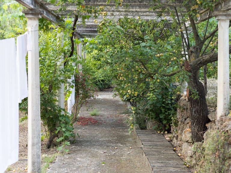 Villa for Sale in Muro De Alcoy, Alicante 47