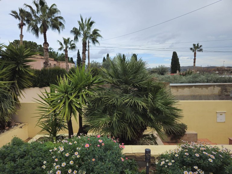 Villa for Sale in Mutxamel, Alicante 32